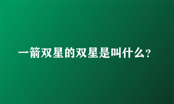 一箭双星的双星是叫什么?
