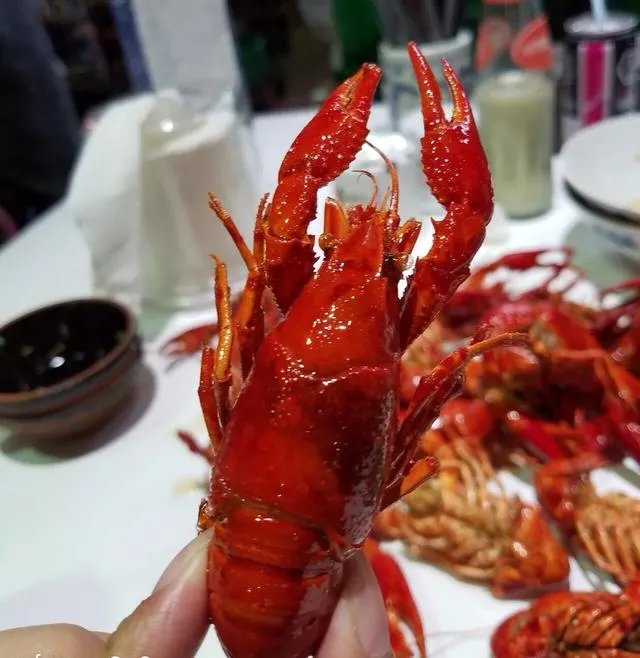 小龙虾的口味很多,你最喜欢吃哪个味道的?