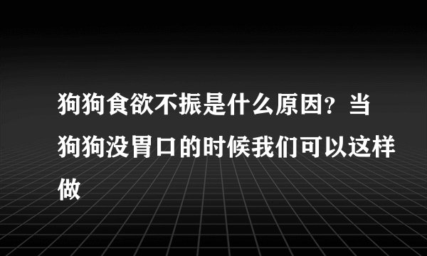 狗狗食欲不振是什么原因？当狗狗没胃口的时候我们可以这样做