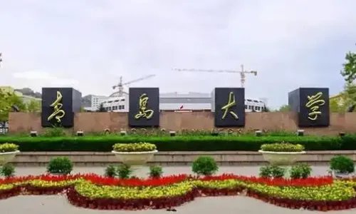 500多分的一本大学有哪些