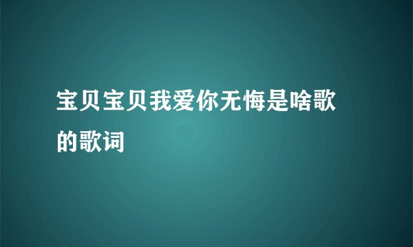 宝贝宝贝我爱你无悔是啥歌 的歌词