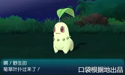 《口袋妖怪日月》岛屿扫描攻略大全