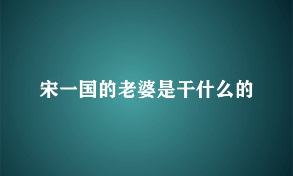 宋一国的老婆是干什么的