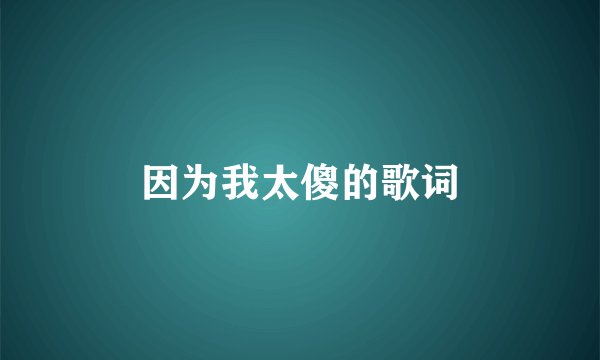 因为我太傻的歌词