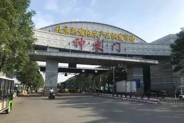 三文鱼是怎么感染病毒的?