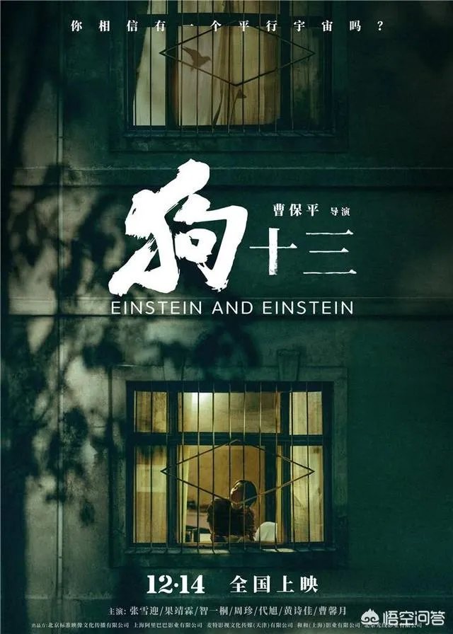 《狗十三》到底讲了什么?