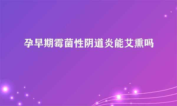 孕早期霉菌性阴道炎能艾熏吗