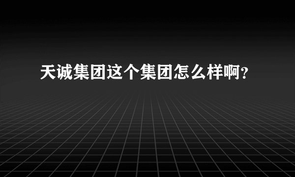 天诚集团这个集团怎么样啊？