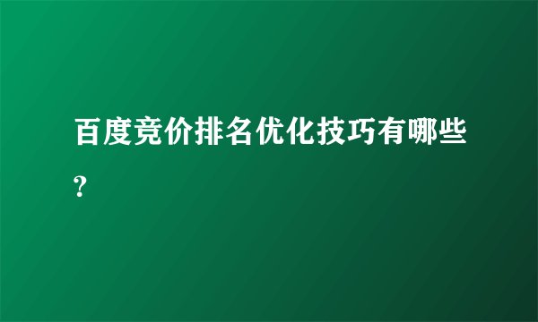 百度竞价排名优化技巧有哪些?