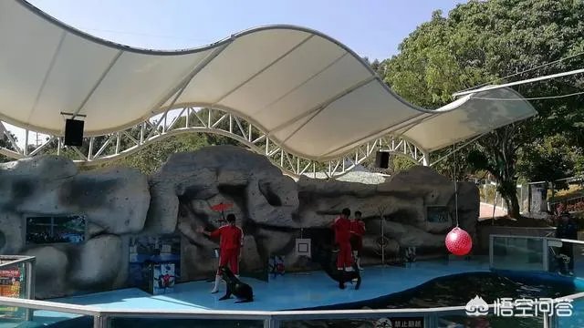 海丝动物园好玩吗