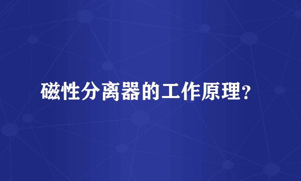 磁性分离器的工作原理？