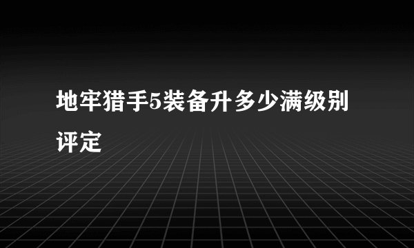地牢猎手5装备升多少满级别评定