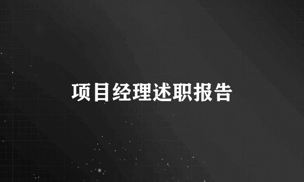项目经理述职报告