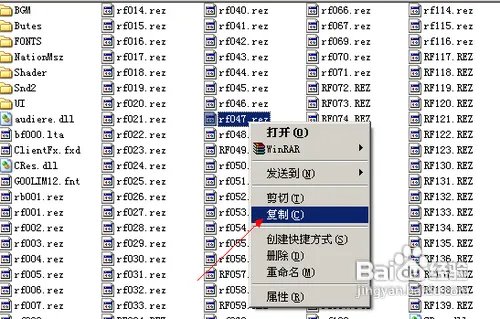cfbug不掉血文件怎么用