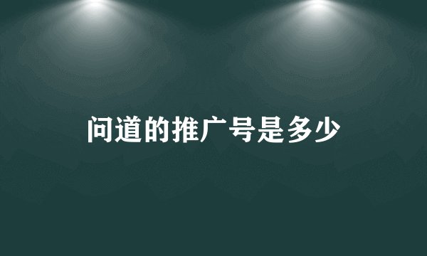 问道的推广号是多少