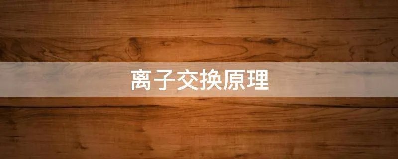 离子交换原理