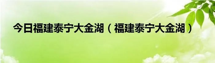今日福建泰宁大金湖（福建泰宁大金湖）