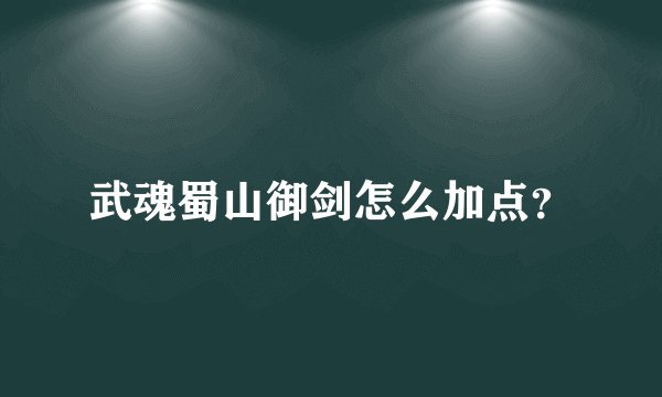 武魂蜀山御剑怎么加点？