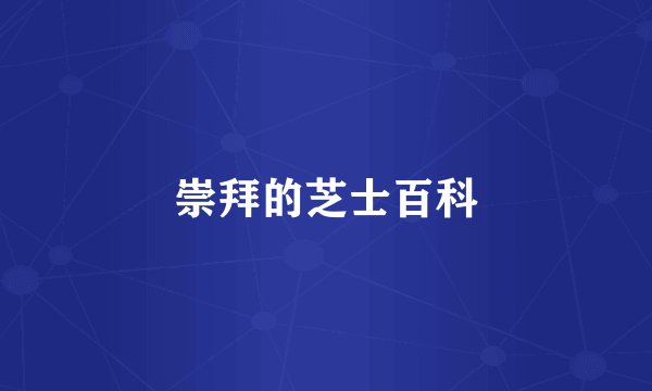 崇拜的芝士百科