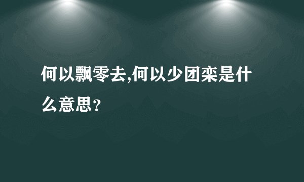 何以飘零去,何以少团栾是什么意思？