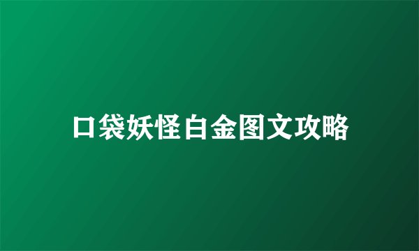 口袋妖怪白金图文攻略
