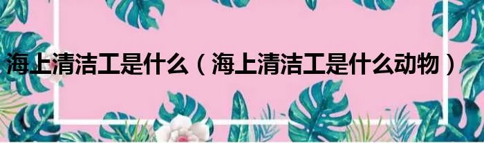 海上清洁工是什么（海上清洁工是什么动物）