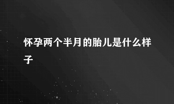 怀孕两个半月的胎儿是什么样子
