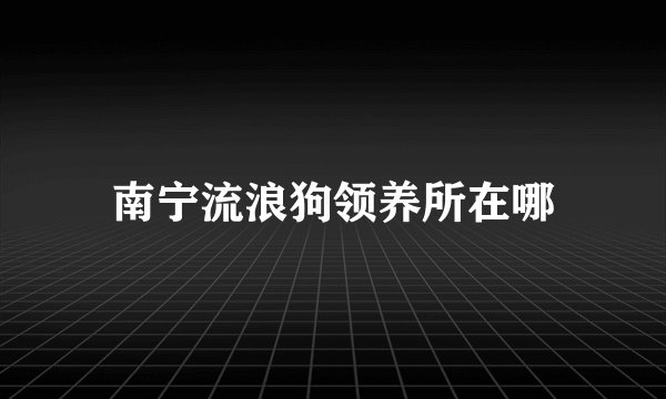 南宁流浪狗领养所在哪