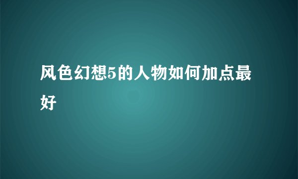 风色幻想5的人物如何加点最好