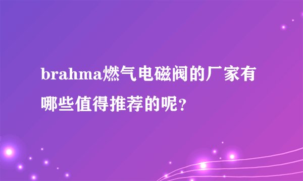 brahma燃气电磁阀的厂家有哪些值得推荐的呢？