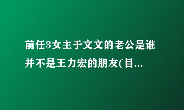 前任3女主于文文的老公是谁 并不是王力宏的朋友(目前单身)