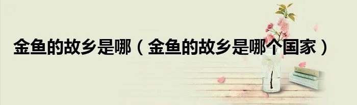 金鱼的故乡是哪（金鱼的故乡是哪个国家）