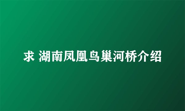 求 湖南凤凰鸟巢河桥介绍