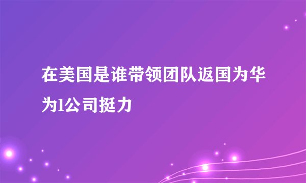 在美国是谁带领团队返国为华为l公司挺力