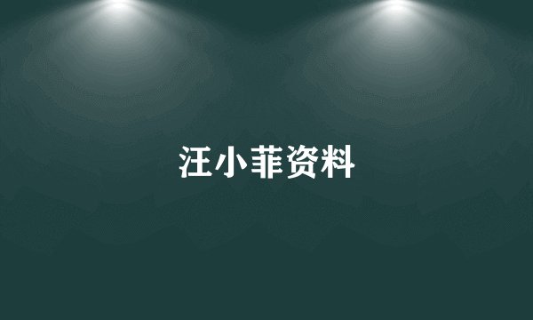 汪小菲资料
