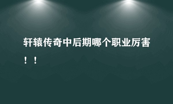 轩辕传奇中后期哪个职业厉害！！