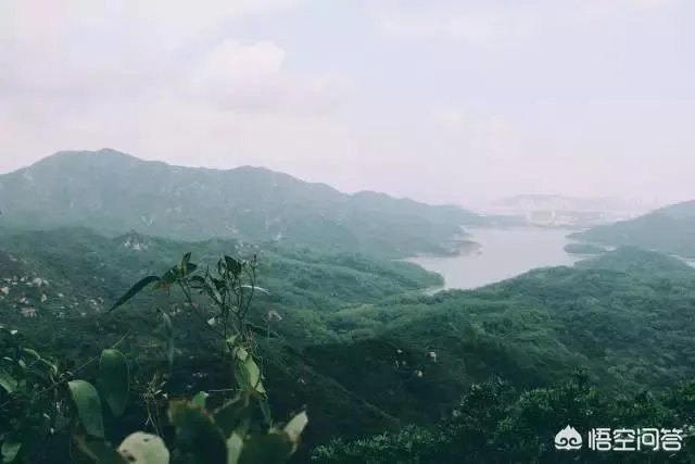 珠海凤凰山景区环境怎么样?值得一游吗?