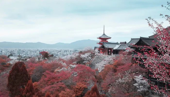 镰仓在日本哪里 镰仓在日本的什么地方