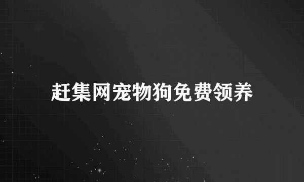 赶集网宠物狗免费领养