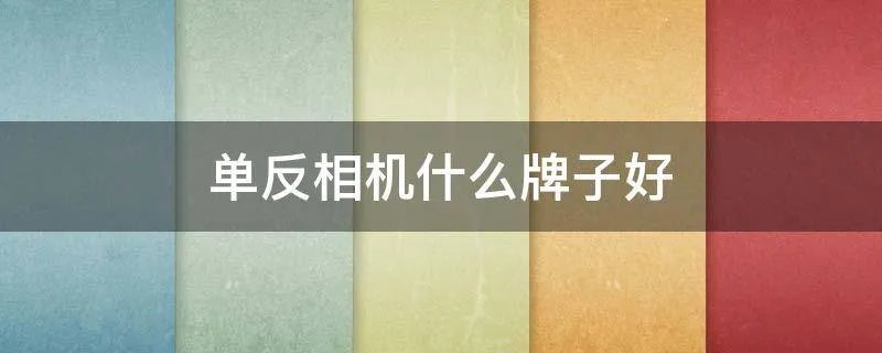 单反相机什么牌子好