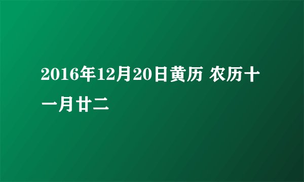 2016年12月20日黄历 农历十一月廿二