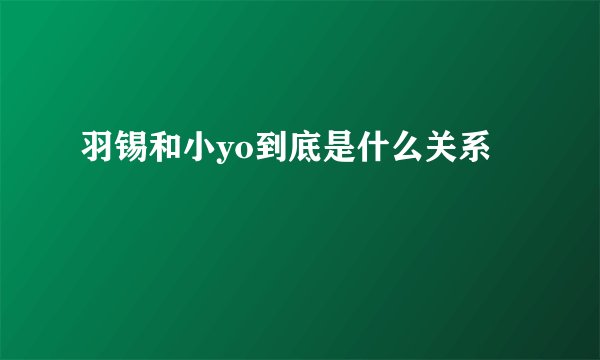 羽锡和小yo到底是什么关系