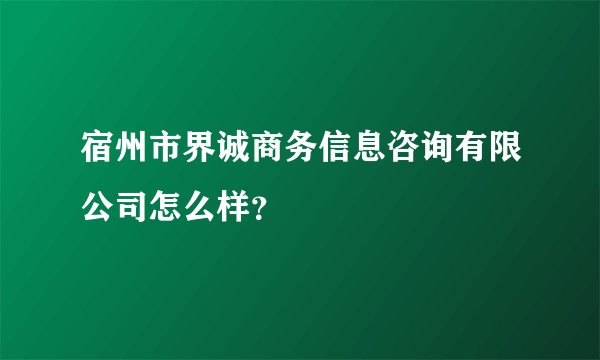 宿州市界诚商务信息咨询有限公司怎么样?