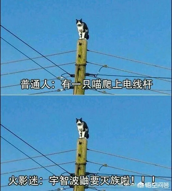 普通人与火影迷有什么区别？