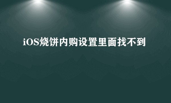 iOS烧饼内购设置里面找不到