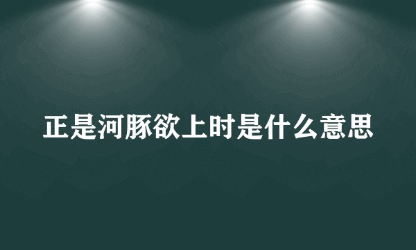 正是河豚欲上时是什么意思