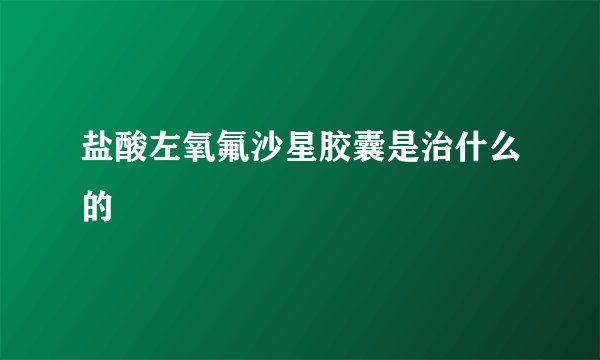 盐酸左氧氟沙星胶囊是治什么的