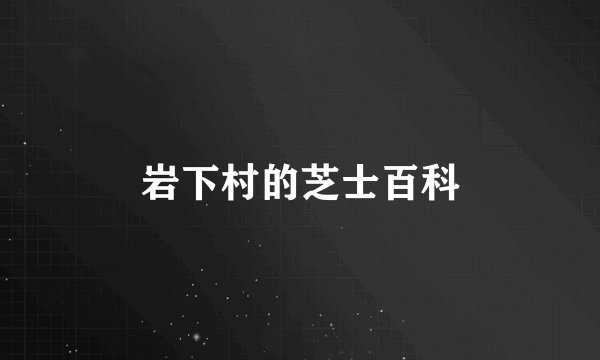 岩下村的芝士百科