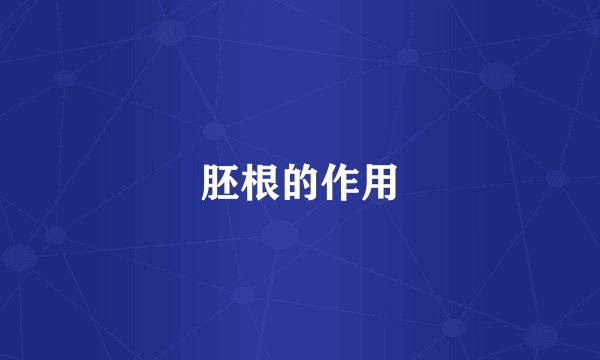 胚根的作用