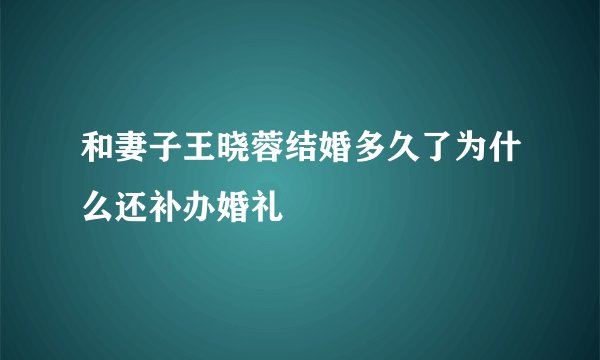 和妻子王晓蓉结婚多久了为什么还补办婚礼
